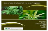 olorado Industrial Hemp Program - Home | Colorado.gov...Industrial hemp registrants seeking seed should be aware of this challenge and additional risk. There is a small amount of hemp