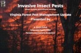 Virginia Forest Pest Management Update Presented by · Emerald Ash Borer - Agrilus planipennis Fairmaire, 1888 Emerald Ash Borer Update. Emerald Ash Borer ... •Systemic options