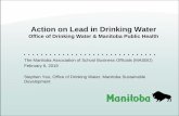 Action on Lead in Drinking Water - Province of ManitobaMaintenance Solutions for Elevated Lead Levels Replace fixtures with new “lead-free”products. Replace lead pipes, if present.