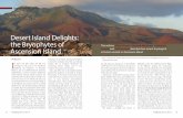 Desert Island Delights: the Bryophytes ofrbg-web2.rbge.org.uk/bbs/Activities/field bryology/FB112... · 2015-01-10 · Desert Island Delights: the Bryophytes of Ascension Island Background