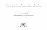 Numerical Simulation of Combustion and Gasification of Biomass … · 2014-05-20 · Mathematical equations representing the physical phenomena are solved using numerical methods