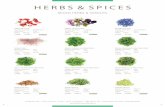 HERBS SPICES - La Rousse Foods salads2016feb.pdfHERBS SPICES 1 1 MICRO HERBS SPROUTS Apple Blossom Weight /Quantity400 Flowers Price Unit :CASE PRICE:€45.20 £35.71 CODE:25085 Edible