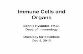 Immune Cells and Organs - Cancer Treatment · The principal cellular constituents, lymphocytes, are mobile and continuously recirculate between the ... The immunology of resolving