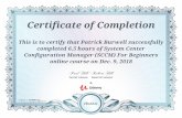Certificate of Completion This is to certify that Patrick Burwell … · 2019-03-11 · Certificate of Completion This is to certify that Patrick Burwell successfully completed 6.5