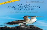 WILD GALÁPAGOS ESCAPE · 2020-03-20 · WILDLIFE UP CLOSE The Galápagos undersea is vibrant, as full of interesting creatures as the land. It’s half the experience, vital to your