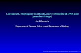 Lecture 24. Phylogeny methods, part 4 (Models of DNA and ... Lecture 24. Phylogeny methods, part 4 (Models