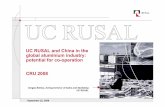 UC RUSAL and China in the global aluminium industry ... · Western Europe NAFTA China 15% 16% 41% 5% 11% 7% 5% 12.3 3.4 3.8 3.4 7.8 9.1 CAGR 2006-15, % Transport Construction Electrical