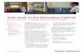 Safe work in the Biosafety Cabinet ·  Safe work in the Biosafety Cabinet Course, hands-on, or train-the trainer moduleavailable Facts and figures Form of course