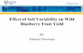 Effect of Soil Variability on Wild Blueberry Fruit Yield...Aitazaz Farooque Introduction • Wild blueberry is a unique crop • Native to Northeastern North America • Situated in
