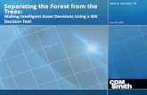 Making Intelligent Asset Decisions Using a GIS …June 20, 2012 Separating the Forest from the Trees: Making Intelligent Asset Decisions Using a GIS Decision Tool Marc A. Lehmann,