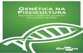 20120724 - Folder Genetica verde Final PDF · Title: 20120724 - Folder Genetica_verde_Final_PDF Author: embrapa Created Date: 7/31/2012 4:46:35 PM