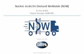 Nucleic Acids On-Demand Worldwide (NOW) - DARPA · 2019-11-06 · Nucleic Acids On-Demand Worldwide (NOW) Dr. Amy Jenkins. Program Manager, DARPA BTO. October 28, 2019. Approved for