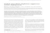 Global microRNA depletion suppresses tumor angiogenesisgenesdev.cshlp.org/content/28/10/1054.full.pdfGlobal microRNA depletion suppresses tumor angiogenesis Sidi Chen,1,2,6 Yuan Xue,1,6