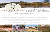 Unique by Nature - Mukambi Safari Lodge · Bookings require a minimum two-night stay. This Special does not apply on long weekends and national/public holidays. Rates are applicable