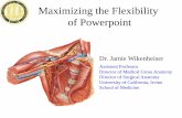 Maximizing the Flexibility of Powerpoint · of Powerpoint Assistant Professor Director of Medical Gross Anatomy Director of Surgical Anatomy University of California, Irvine School