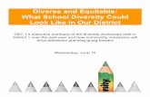 Diverse and Equitable: What School Diversity Could …...School diversity and equity of access has been the unheeded cry and demand of the families of CSD 1 for many years. That advocacy,