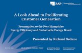 A Look Ahead to Proliferating Customer Generation...The Regulatory Assistance Project 50 State Street, Suite 3 Montpelier, VT 05602 Phone: 802-223-8199 A Look Ahead to Proliferating