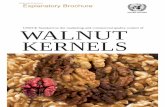 Walnut Kernel Brochure Draft May23 2016 - UNECE · Throughout this brochure, the official text of the standard is indicated in Roman type; the interpretative text of the standard