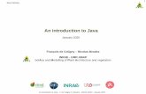 An introduction to Javacapsis.cirad.fr/capsis/_media/java-training-january-2020.pdf · An introduction to Java - F. de Coligny, N. Beudez - INRAE AMAP - January 2020 Specificities