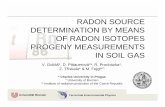 RADON SOURCE DETERMINATION BY MEANS OF RADON … · Terrestrial Environmental Physics 7 of 23 Rn source determination by means of Rn progeny measurements in soil gas Test site, location