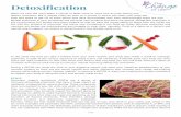 Detoxiﬁcation€¦ · During a DETOX you lower the load on your digestive system and allow your intestines (headquarters of your immune system) to ﬂush out the toxins, refresh