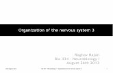 Organization of the nervous system 3 - IISER Puneraghav/pdfs/neurobiology1/Lecture7...26th August 2013 Bio 334 - Neurobiology I - Organization of the nervous system 3 6 General principles