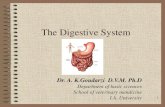 The Digestive Digestive System Organization â€¢Descending colon â€¢Sigmoid colon â€¢Rectum â€¢Anus â€¢