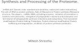 Synthesis and Processing of the Proteome. · •Two active roles in protein synthesis –Ribosomes coordinate protein synthesis by placing the mRNA, aminoacyl-tRNAs and associated