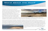 Word about the Hood - BirdLife · 2017-06-29 · Word about the Hood Biannual newsletter of BirdLife Australia’s Beach-nesting Birds Program Edition 17 – June 2017 UPDATE FROM