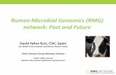 Rumen Microbial Genomics (RMG) network: Past and Future...groups in the rumen. Henderson et al., 2015 Scientif Reports •Hungate1000 •Aims to produce a reference set of rumen microbial