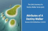 Attributes of A Destiny-Walkerstorage.cloversites.com/newlifetemplechurch... · Destiny-Walker Jesus -Our Example of a Destiny Walker For I have come down from heaven to do the will