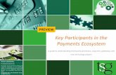 Key Participants in the Payments Ecosystem · 2011 2012 2013 Gross Revenue $ In Millions First Data Global Payments TSYS Vantiv 2,250 2,440 2,450 414 491 506 478 528 602 384 465 538