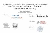 Synaptic [classical and quantum] fluctuations as a recipe for …cnls.lanl.gov/external/piml/Carlo Balsassi.pdf · 2018-04-23 · Synaptic [classical and quantum] fluctuations as