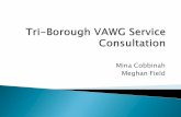 Mina Cobbinah Meghan Field VAWG Service ISS... · 2014-08-08 · Summer 2013: Obtained MOPAC funding for streamlining VAWG services Jan 2014: ... on Oct 2014-Feb 2015 and published