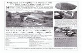 Elephants Aliveelephantsalive.org/wp-content/uploads/2017/01/2007... · Ámukelani Mgiba (9), Camp George California Makhubela Nyeleti Olga Khosa (10), Braithwaite Cardney (11); KPNR