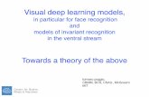 Visual deep learning models,cs.wellesley.edu/~vision/slides/Tommy_class.pdf · • Human Brain –1010-1011 neurons (~1 million ﬂies) –1014- 1015 synapses Vision:’what’iswhere’
