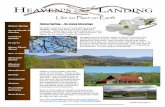 Like no Place on Earth - Heaven's Landing 2013 Newsletter.pdf · the classic Newcomb’s Wildflower Guide that is less colorful but teaches you proper terminology and how to identify