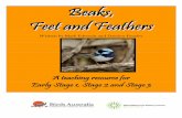 BBeeaakkss,, FFeeeett aanndd FFeeaatthheerrss · Beaks, Feet and Feathers 2 About this Resource The resource Beaks, Feet and Feathers was developed with the support of the Forging
