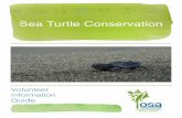 Sea Turtle Conservation · The goal of our Sea Turtle Program is to guarantee the health and ecological success of the sea turtles who nest on the beaches of the Osa Peninsula. There