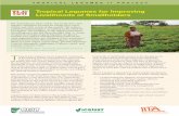 Tropical Legumes for Improving Livelihoods of Smallholders · Tropical Legumes II (TL II) project, funded by the Bill and Melinda Gates Foundation (BMGF), aims to improve the livelihoods
