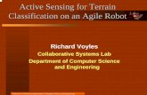 Active Sensing for Terrain Classification on an Agile Robot Voyles, Papanikolopoulos, Gini, Roumeliotis,