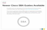 Cisco SBA Borderless Networksâ€”LAN and Wireless LAN 802.1X ... queries, Network Mapper (Nmap) scans,
