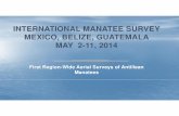 INTERNATIONAL MANATEE SURVEY MEXICO, BELIZE, GUATEMALA … · 2015-11-19 · SURVEY STATISTICS Survey days = 9 Start = Holbox, Mexico End = Bahía de Omoa, Guatemala Hours surveyed