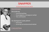 SNAPPER - internisten · 2018-01-23 · • Strategische doelstelling van de NIV: “de internist neemt het voortouw bij de behandeling van de oudere multimorbide patient van het