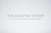 THE DIGESTIVE SYSTEM - Norwell High School · digestive system is food processing, which occurs in four stages.! ... regulates acidity in the stomach!