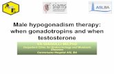 Male hypogonadism therapy: when gonadotropins and when ... · Male hypogonadism - classification Hypogonadism Primary hypogonadism Secondary hypogonadism Target organ resistance (T