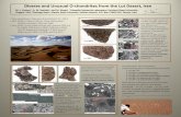 Diverse and Unusual O-chondrites from the Lut Desert, Iranmeteorites.pdx.edu/pubs/2014-MetSoc-Lut poster.pdf · References: [1] Huss G.R. et al. 1981 Geochimica et Cosmochimica Acta