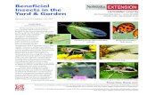 Beneficial Insects in the Lancaster County Yard & Garden/media/system/5/5/6/4... · Wasps (Hymenoptera) While some wasps are capable of becoming a nuisance, most do not pose a problem,