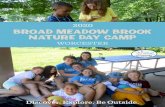 BROAD MEADOW BROOK NATURE DAY CAMP · plan. All CITs present a lesson during one of their weeks at camp. First-year CITs will attend a five-day training session (June 22–June 26)