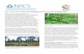 New Jersey Fact Sheet: Developing Your Forest Stewardship …efotg.sc.egov.usda.gov/.../NJ/666Developing...NJAS.pdfmost current program requirements with a New Jersey approved forester.
